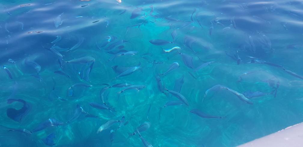 Appartamento Bluewater La Maddalena  Esterno foto