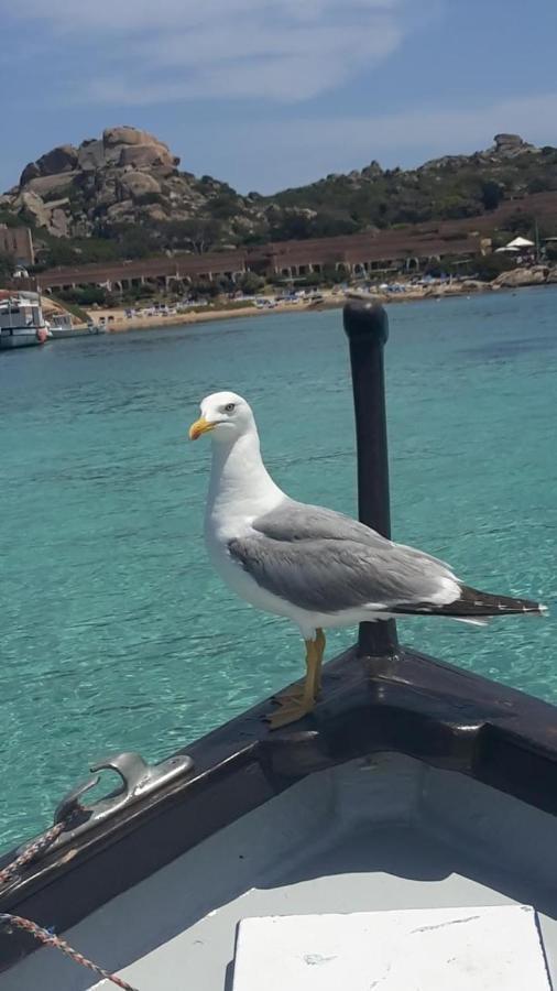 Appartamento Bluewater La Maddalena  Esterno foto